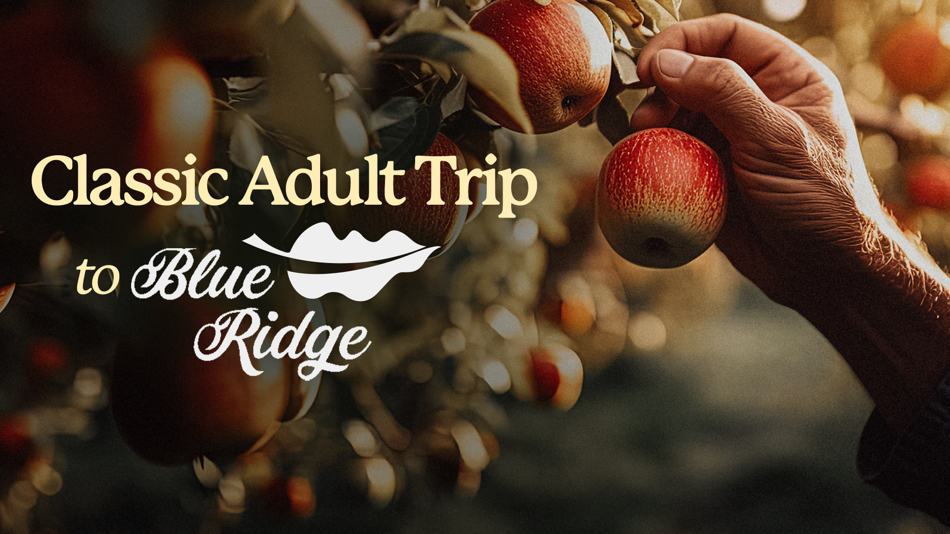 Classic Adult Trip to Blue Ridge